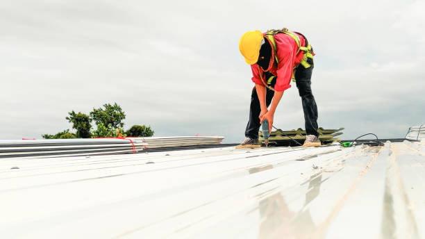 Best Roof Moss and Algae Removal  in Hudson Falls, NY
